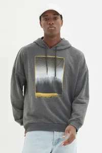 Trendyol Anthracite Men Regular Fit Long Sleeve Hooded Printed Sweatshirt