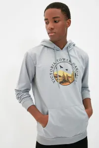 Trendyol Men's Gray Men's Regular/Regular Fit Hooded Long Sleeve Printed Sweatshirt