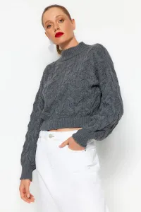Trendyol Anthracite Crop Stand-Up Collar Knitwear Sweater