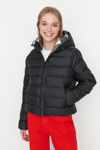 Trendyol Winter Jacket - Black - Puffer #1620417