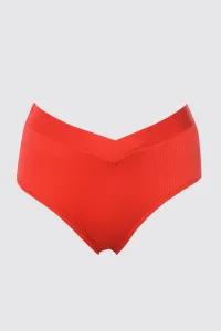 Trendyol Red V-cut, Textured High Waist Bikini Bottoms with Regular Legs #211434