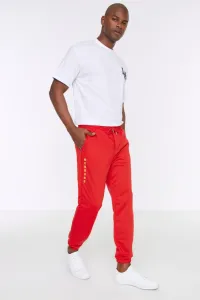 Trendyol Red Men's Regular Fit Printed Sweatpants #1101011