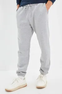 Trendyol Men's Gray Men's Regular/Normal Fit Pants with Elasticated Joggers, the inner part is Soft Pile Sweatpants
