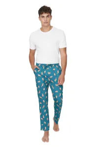 Trendyol Green Men's Regular Fit Printed Pajama Bottoms #1303885