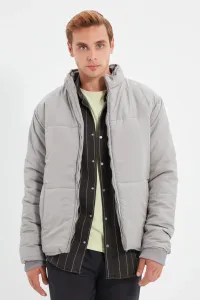 Trendyol Men's Gray Regular Fit Down Jacket #829529