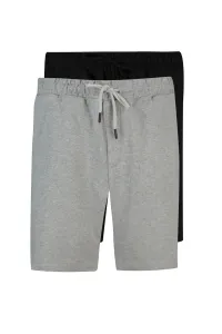 Trendyol Multicolored Men's Basic Regular/Real Fit Plain 2-pack Shorts