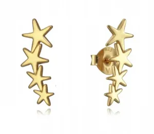Viceroy Eleganti orecchini a stella placcati in oro Popular 5065E100-08