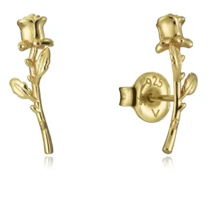 Viceroy Incantevoli orecchini placcati oro Rosa Trend 13004E100-30