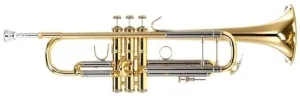 Vincent Bach 180-37 Stradivarius Tromba Sib