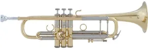 Vincent Bach LR180-72 Stradivarius Tromba Sib