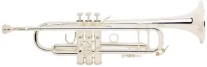 Vincent Bach LR180S-37G Stradivarius Tromba Sib