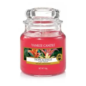 Yankee Candle Candela profumata Classic piccola Tropical Jungle 104 g
