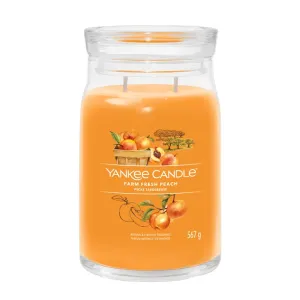 Yankee Candle Candela aromatica Signature tumbler grande Farm Fresh Peach 567 g