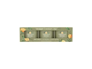 Yankee Candle Set di candele votive in vetro Sage & Citrus 3 x 37 g