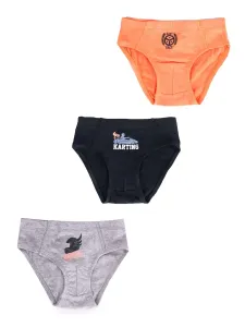 Yoclub Kids's Cotton Boys' Briefs Underwear 3-pack BMC-0028C-AA30-002 #142793