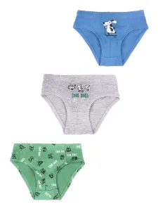 Yoclub Kids's Cotton Boys' Briefs Underwear 3-pack BMC-0029C-AA30-001 #755184