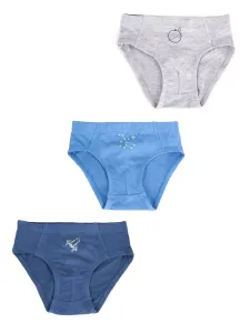Yoclub Kids's Cotton Boys' Briefs Underwear 3-pack BMC-0029C-AA30-002 #755126