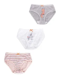 Yoclub Kids's Cotton Girls' Briefs Underwear 3-pack BMD-0031G-AA20-001 #755150